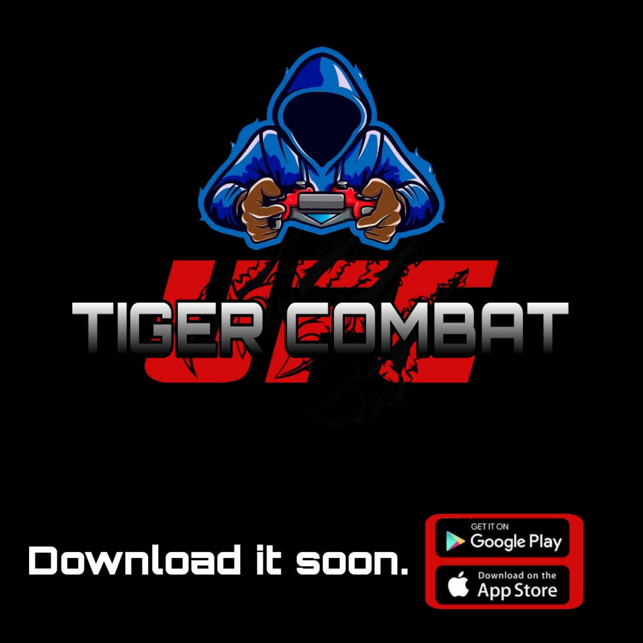 Tiger Combat 3